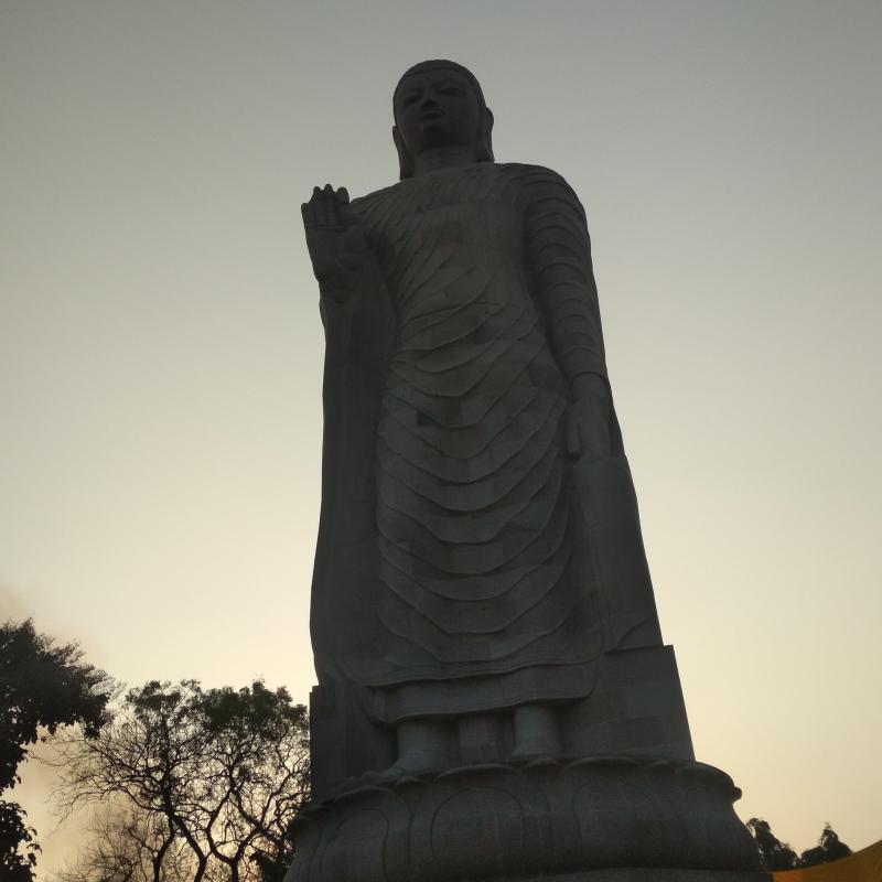 Harmonizing with the Unconditional Love and Wisdom of Our Buddha Nature