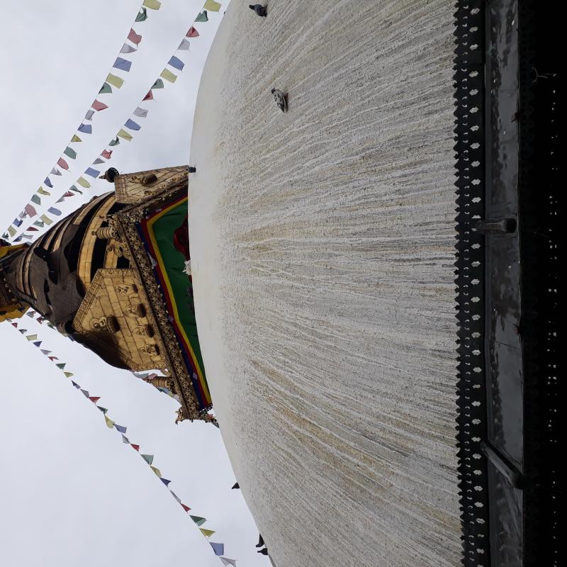 Weekend Meditation Retreat: Navigating Change and Impermanence